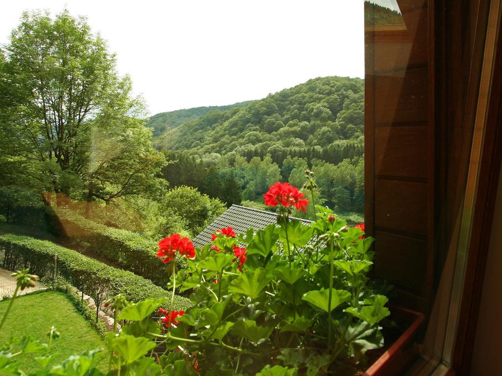 Cottage With A Terrace And A View Of The Valley Aywaille Exterior foto